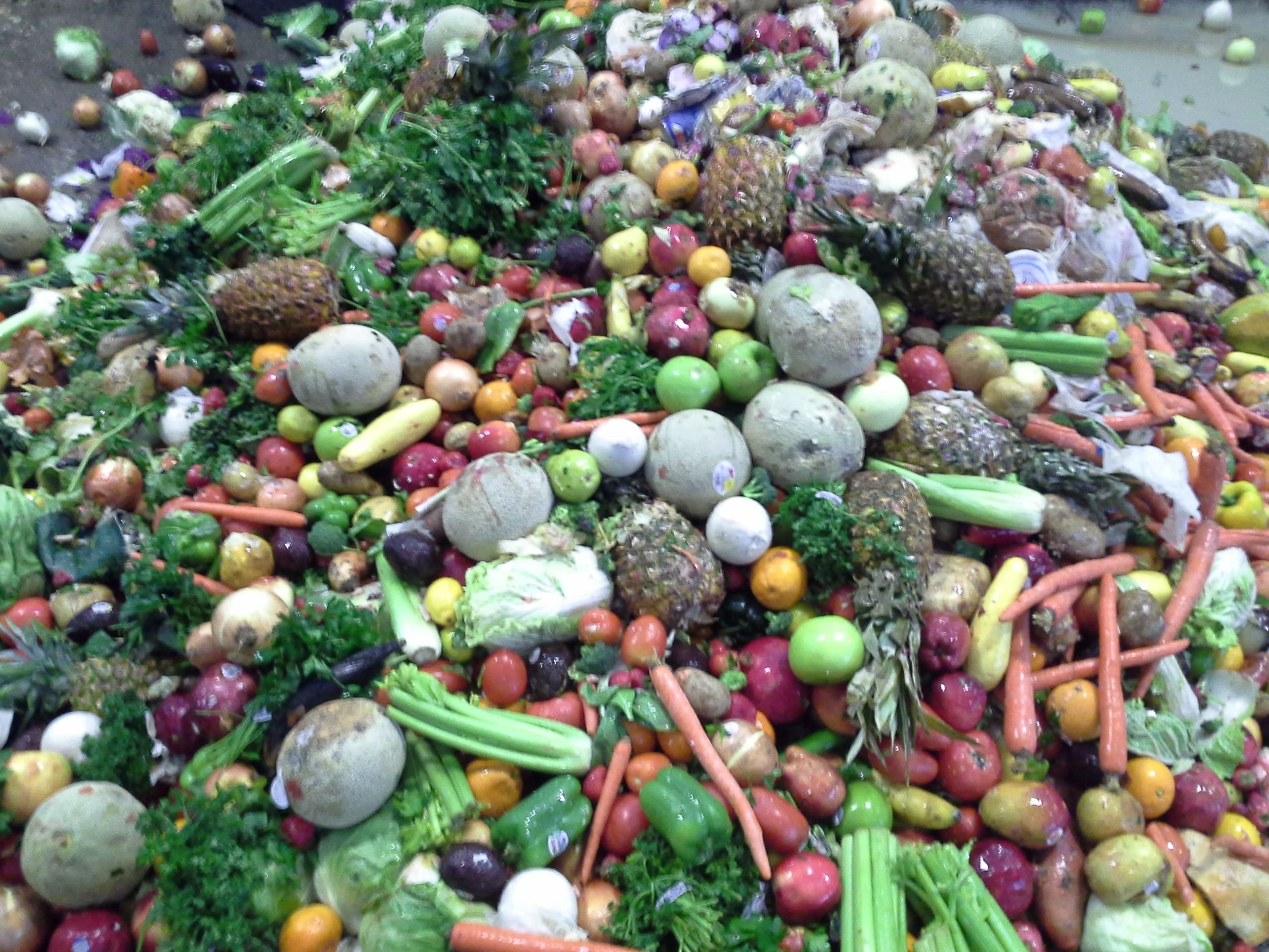 food-waste-management-evaluation-washington-state-department-of-commerce