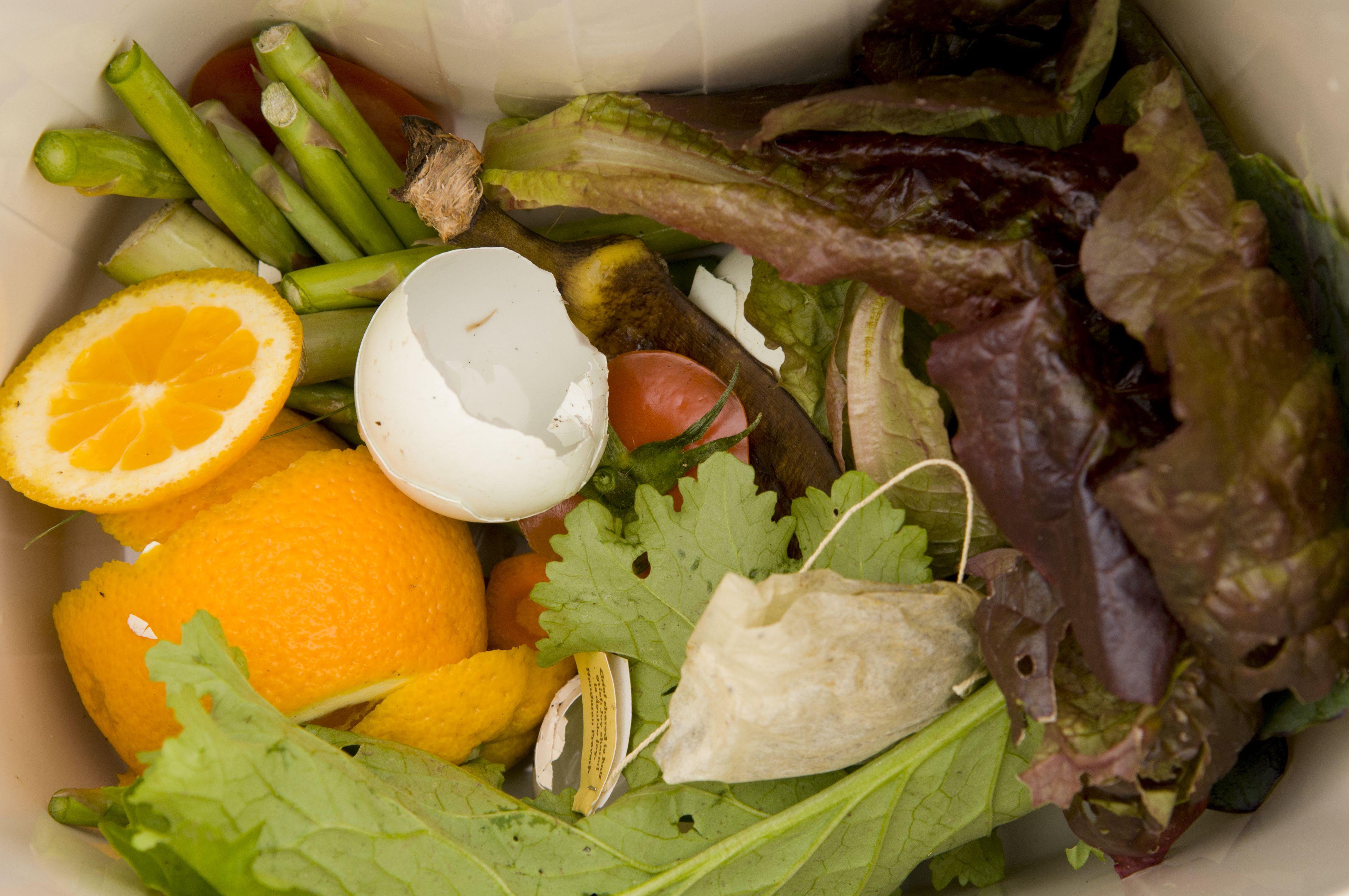 Council to consider proposed food scraps policy Thursday | Metro