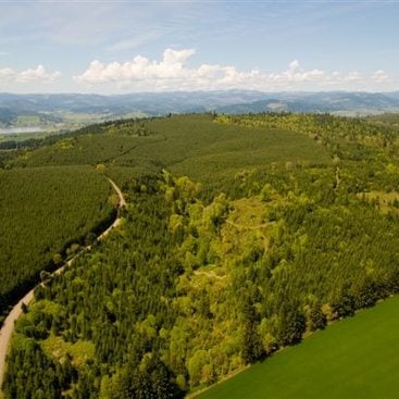 a photo of an aerial view of forest, grassland and a river