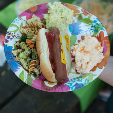 photo of a picnic plate