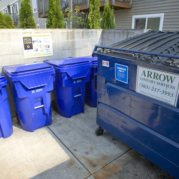photo of large recycling bin and roll carts
