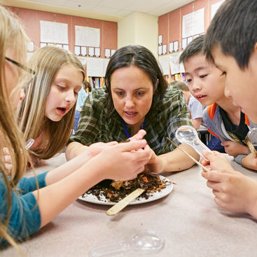 Metro educator examining worms with several students