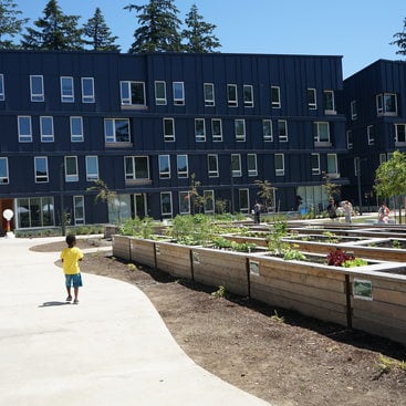 Dark blue multifamily housing buildings in the background with raised garden beds in the foreground and a child in a yellow shirt walking down a path
