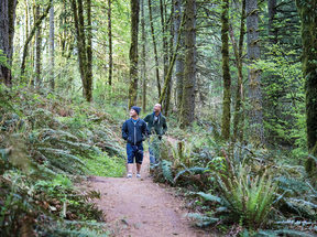 Blue Lake Regional Park improvements