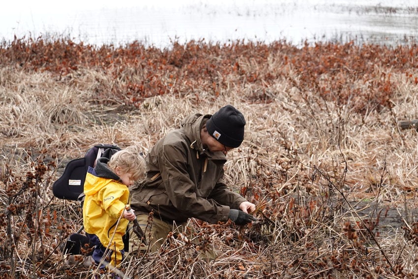 Smith and Bybee lichens ecoblitz | Metro