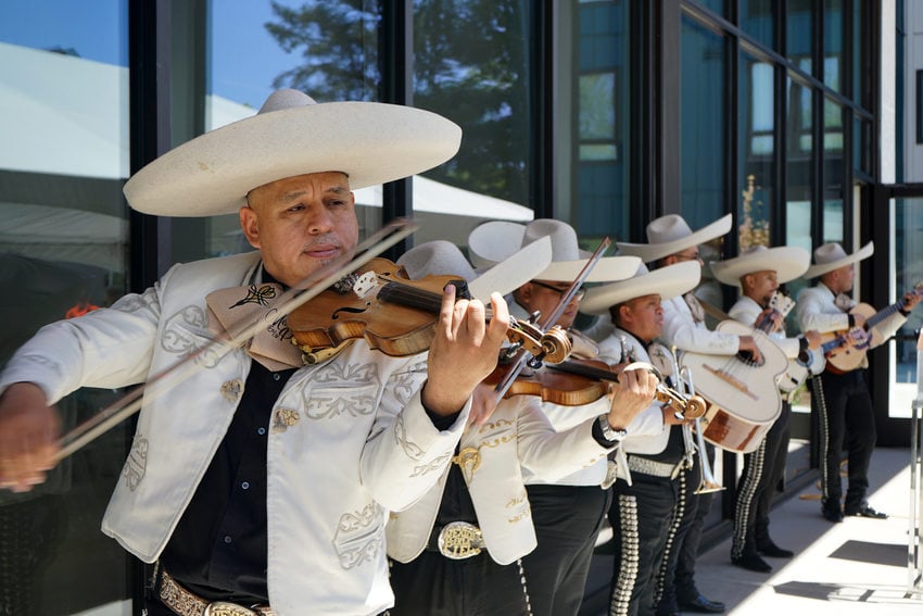 Mariachi band in black pants and white jackets and hats, standing in a line playing. 