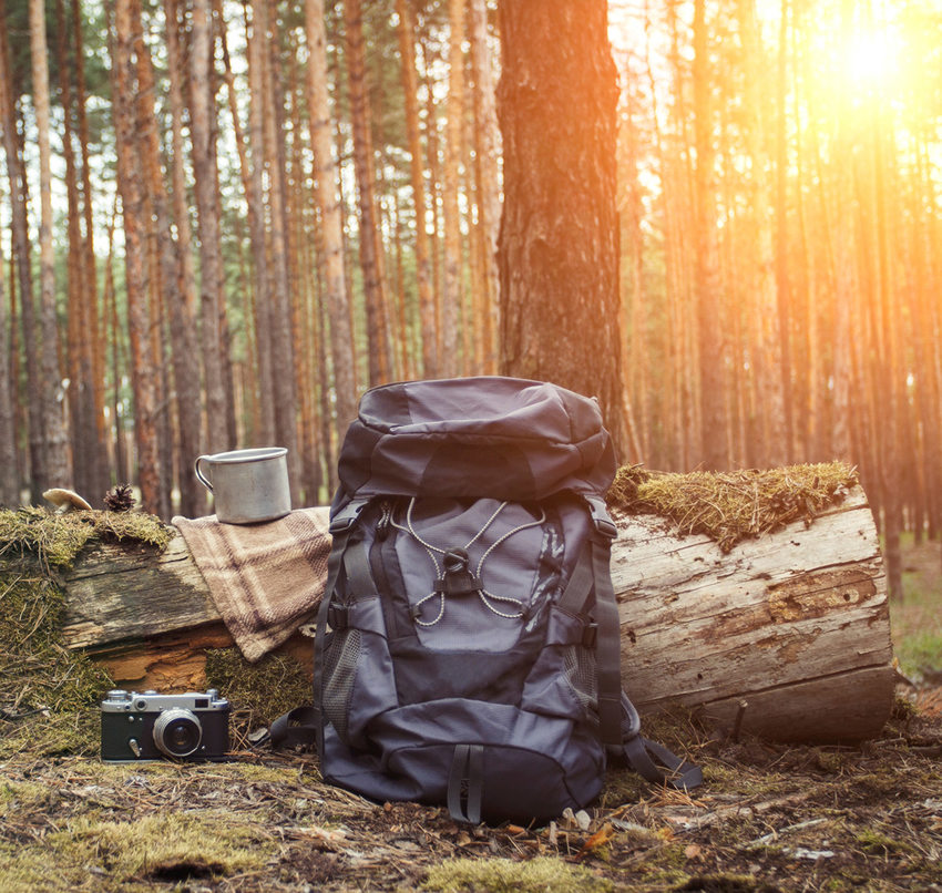 A backpack leans against a log which is covered by a tablecloth and tin cup, a camera sits on a forest floor