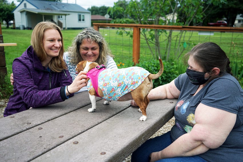 Three women sitting around a picnic table in a community garden admiring a small dog. 