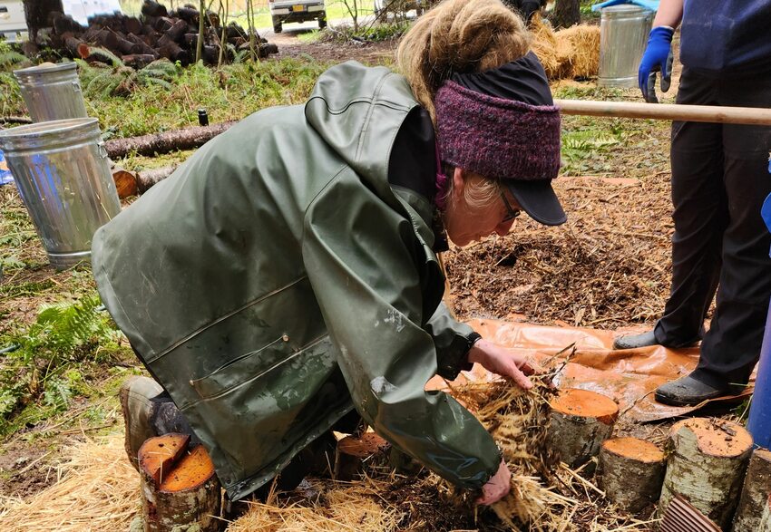 Kristina Prosser, wearing rain gear and a hat, crouches on the ground among rounds of thin alder logs