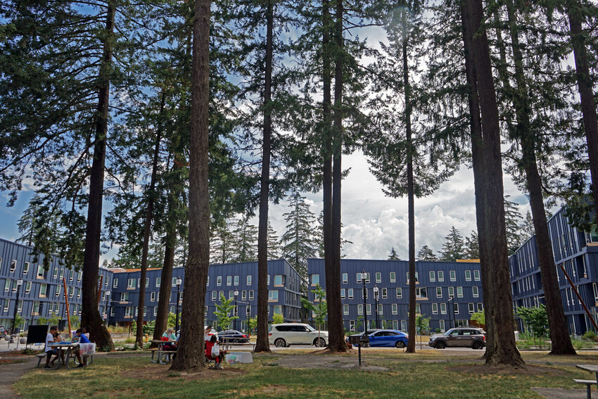 Wooded park setting with modern apartment building in the background.