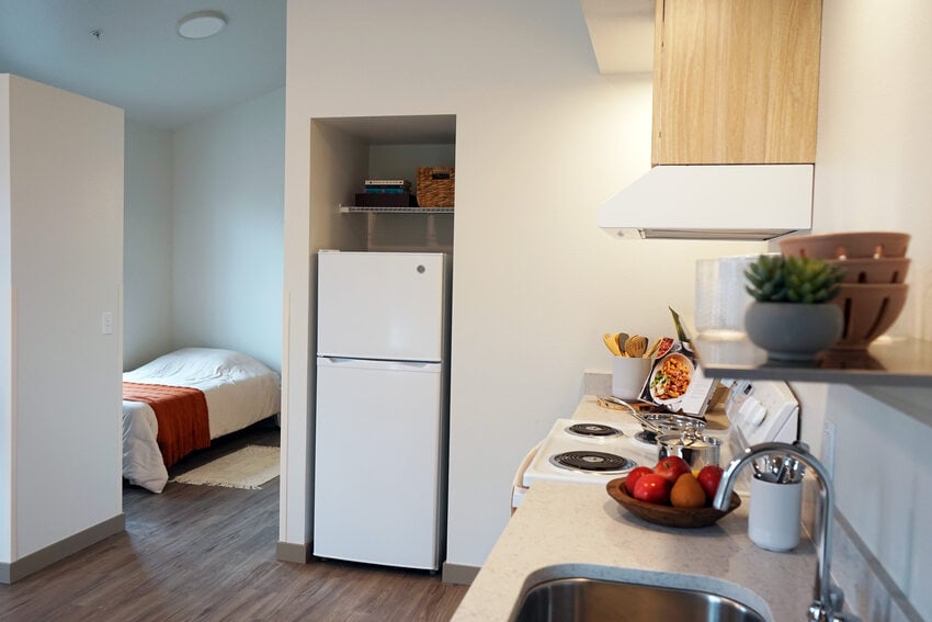 A modern kitchen featuring a sink, refrigerator, and microwave, with a sleeping area in the background.