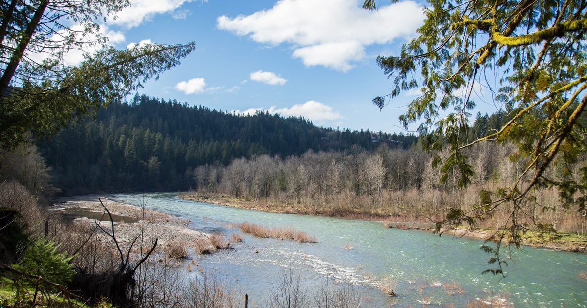 River temperatures still dangerously cold as we head into holiday ...