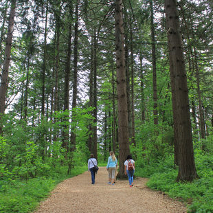 People walking on trail at Glendoveer Nature Park. 