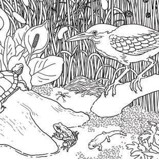 Close-up of coloring book illustration.