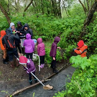 A class of children in rain gear stand in and around a small creek. Greenery is all around them.