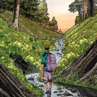 An illustration of a person hiking in a forest, stopping while crossing a small creek to look up toward a sunset.