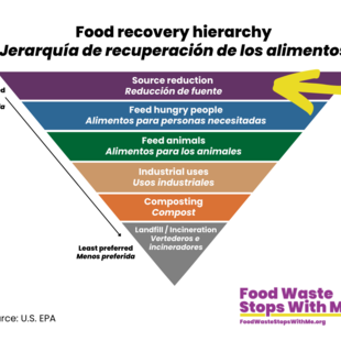 25 Simple Tools and Practical Tips to Cut Down Food Waste