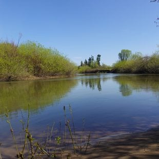 a placid-looking river lined with scrub brush under a blue sky