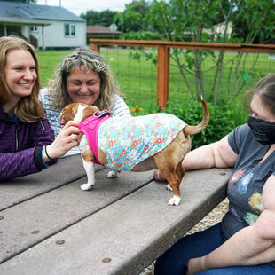 Three women sitting around a picnic table in a community garden admiring a small dog. 