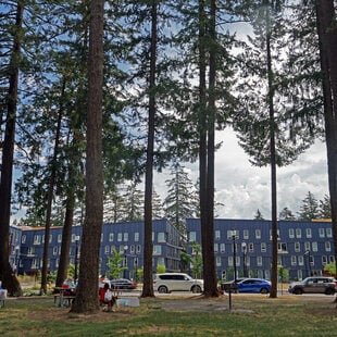 Wooded park setting with modern apartment building in the background.