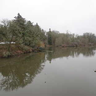 A still lake dotted with flotsam under a cloudy sky. To the left, a parking lot and apartment building can be seen just a few feet up the lake's bank.