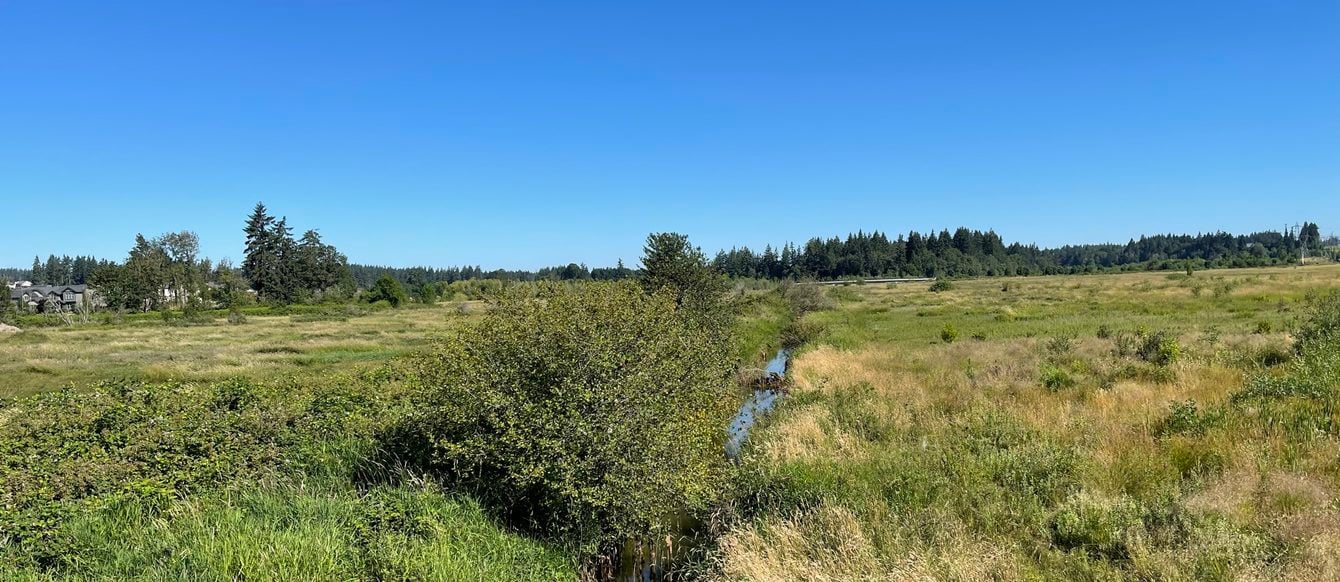 A ditch filled with water runs straight through a field with a few bushes and lots of grass.