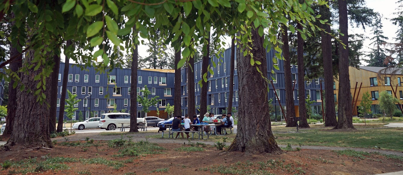 Wooded pibnic area with leaves in the foreground and a modern apartment building in the background.