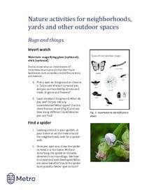 Nature activities for neighborhoods - bugs