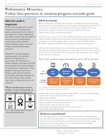 Performance Measures audit highlights