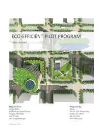 Eco-efficient pilot program report