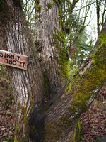 photo of the summit sign at Mount Talbert Nature Park