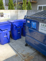 photo of large recycling bin and roll carts