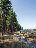 A young child wearing a blue dress runs along a trail with tall trees on one side and an open prairie on the other.