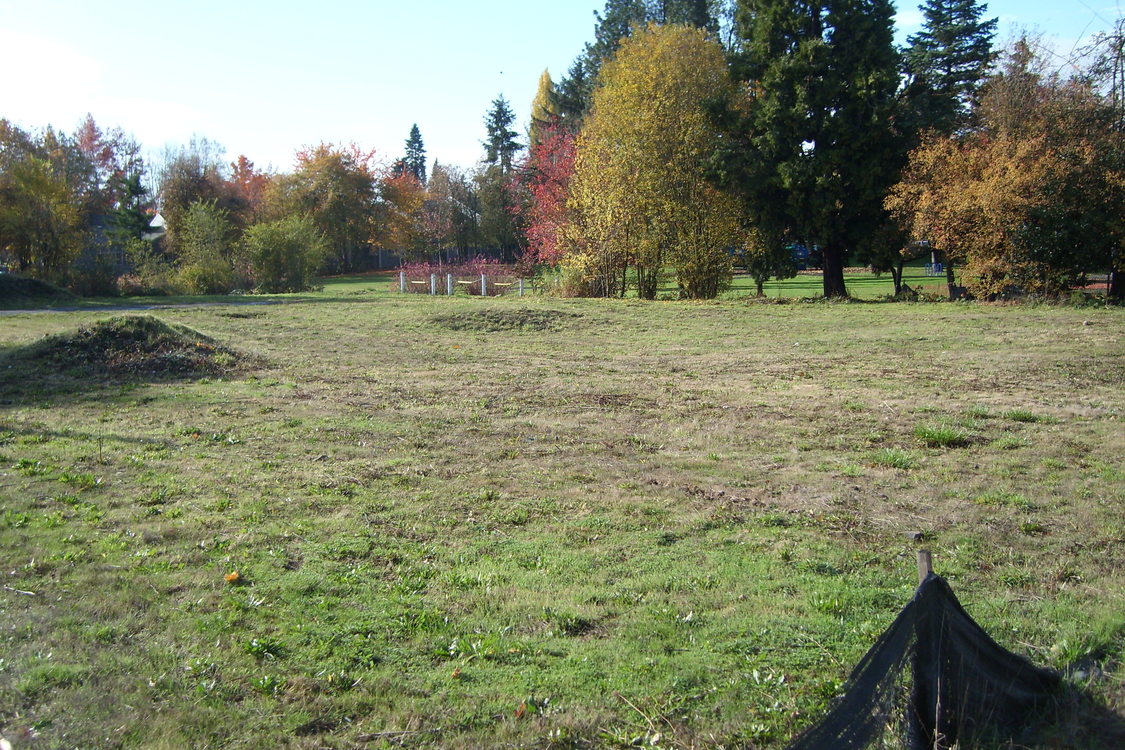a photo of the grassy property after brownfield improvement