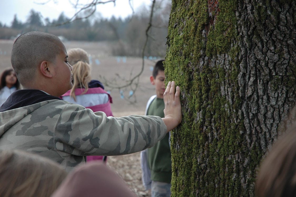 photo of boy touching oak tree