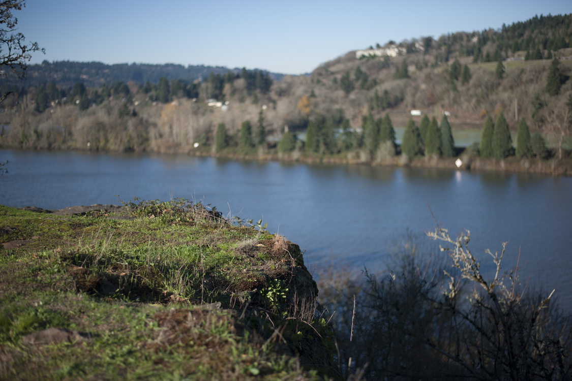 photo of the Willamette River from Canemah Bluff