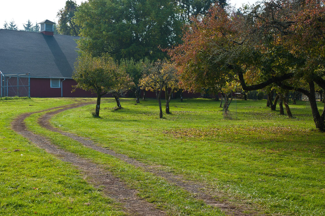 photo of the orchard and barn at Howell Territorial Park