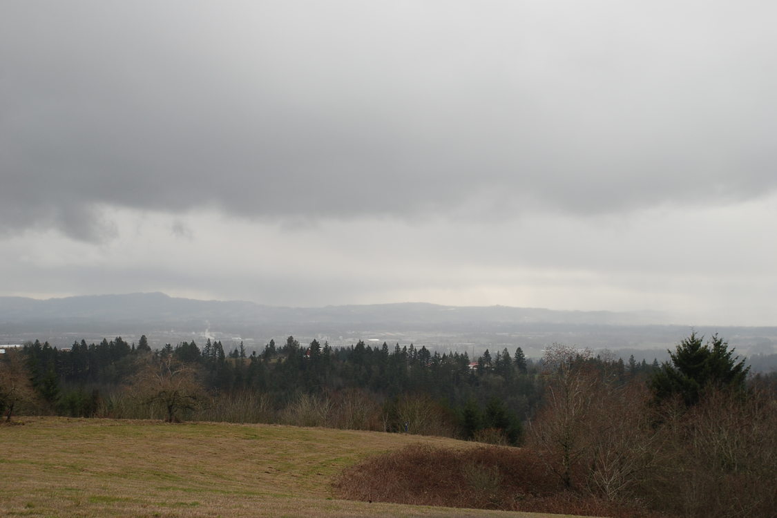 photo of North Tualatin Mountains natural area on a cloudy day