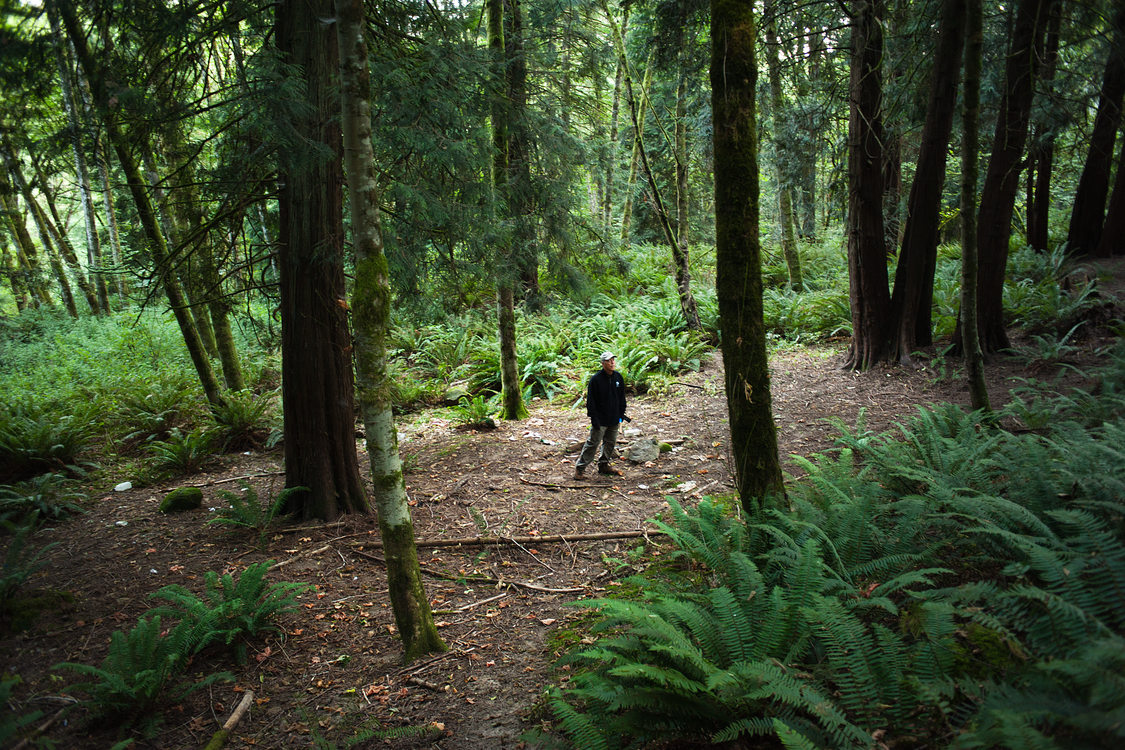 Metro's lead natural resources technician Adam Stellmacher standing among tall fir trees and ferns in Newell Creek Canyon