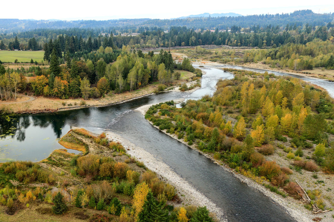 River Island Natural Area restoration | Metro