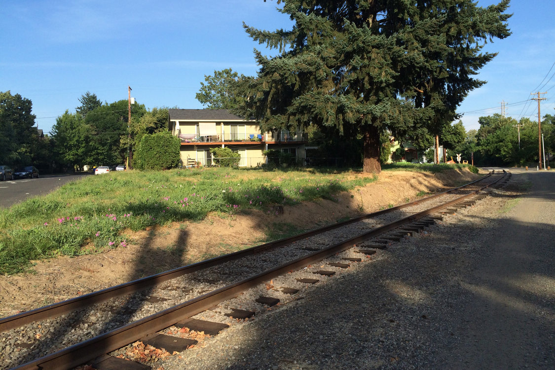photo of train tracks in the foreground and a grassy area, tree and house in the background along the Springwater Corridor Trail