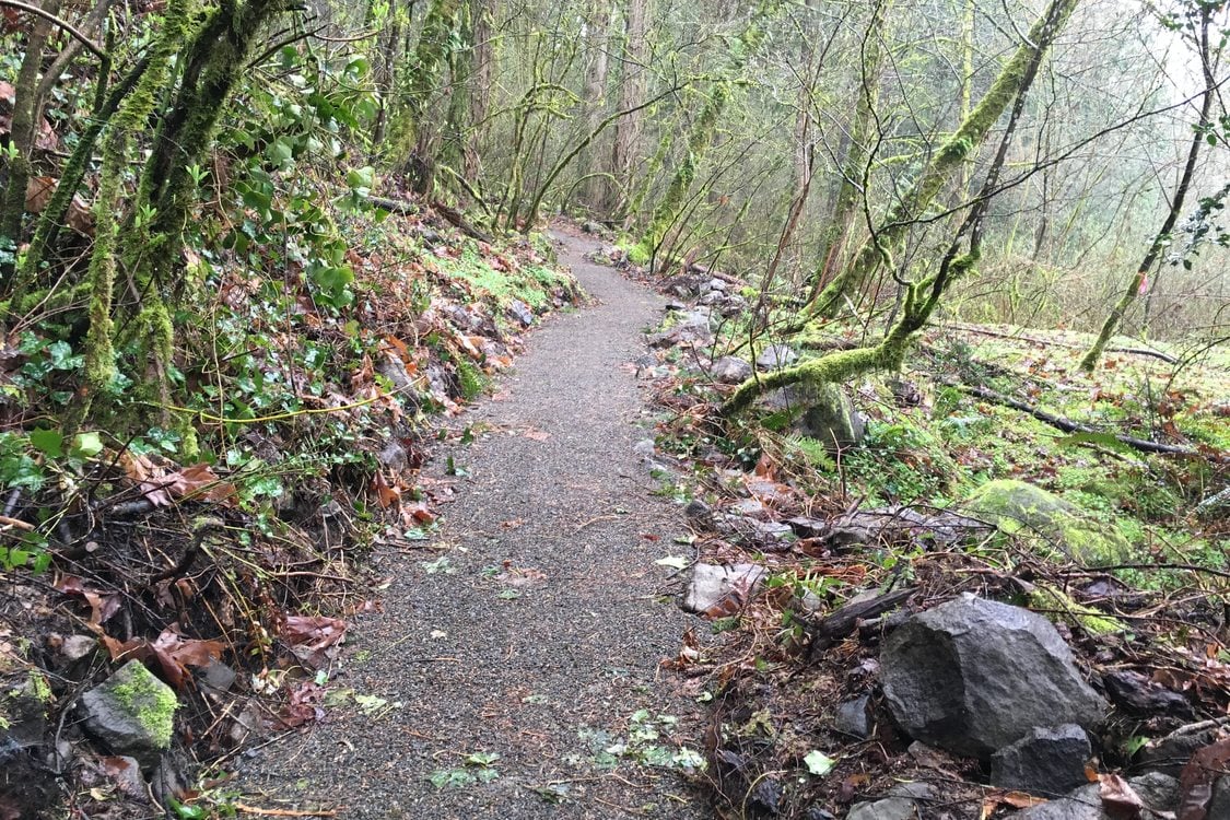 photo of improved Canemah Bluff trails