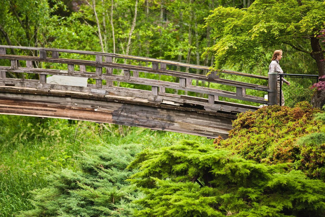 a person walking over a wooden bridge surrounded by bright green foliage