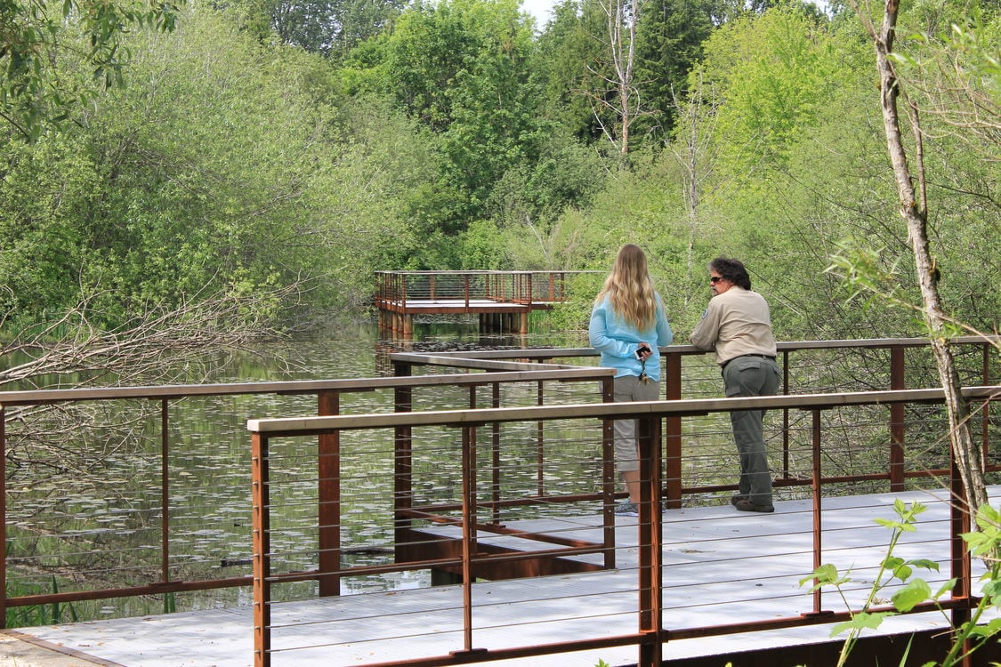 photo of new wetlands trail and viewing platforms at Blue Lake