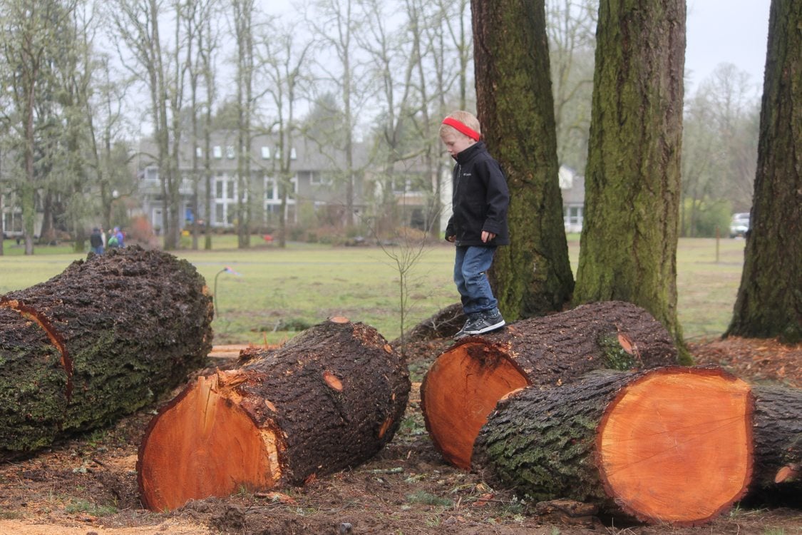 young boy walks on logs in play area at Orenco Woods Nature Park