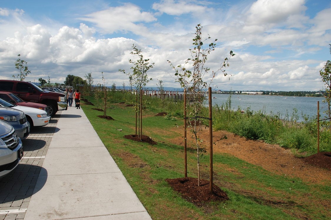 Expansion of the M. James Gleason Memorial Boat Ramp on the Columbia River included extensive native plantings and bioswales.