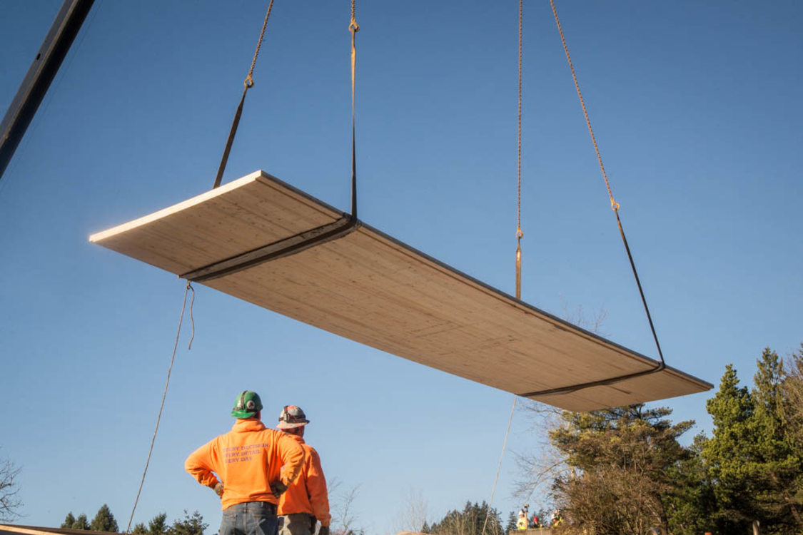 The Zoo's Elephant Lands exhibit used cross-laminated timber