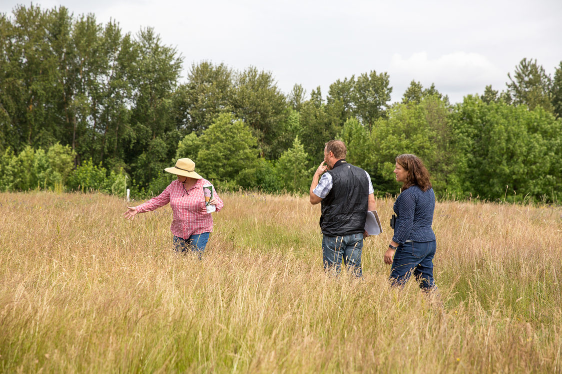 Three people walking through tall prairie grass