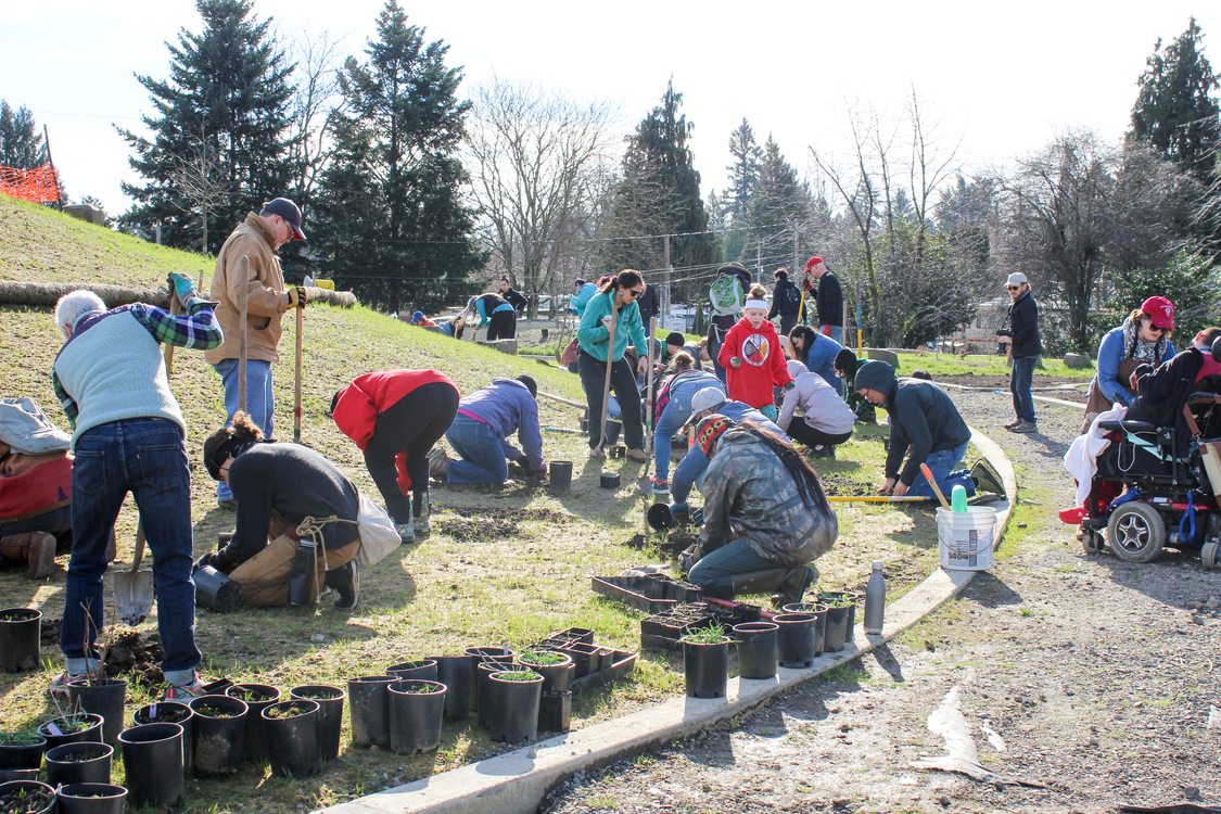 Youth and adults work together at a planting event on a hill next to a walkway. There are several potted plants and people digging with shovels or kneeling to put plants in the ground.