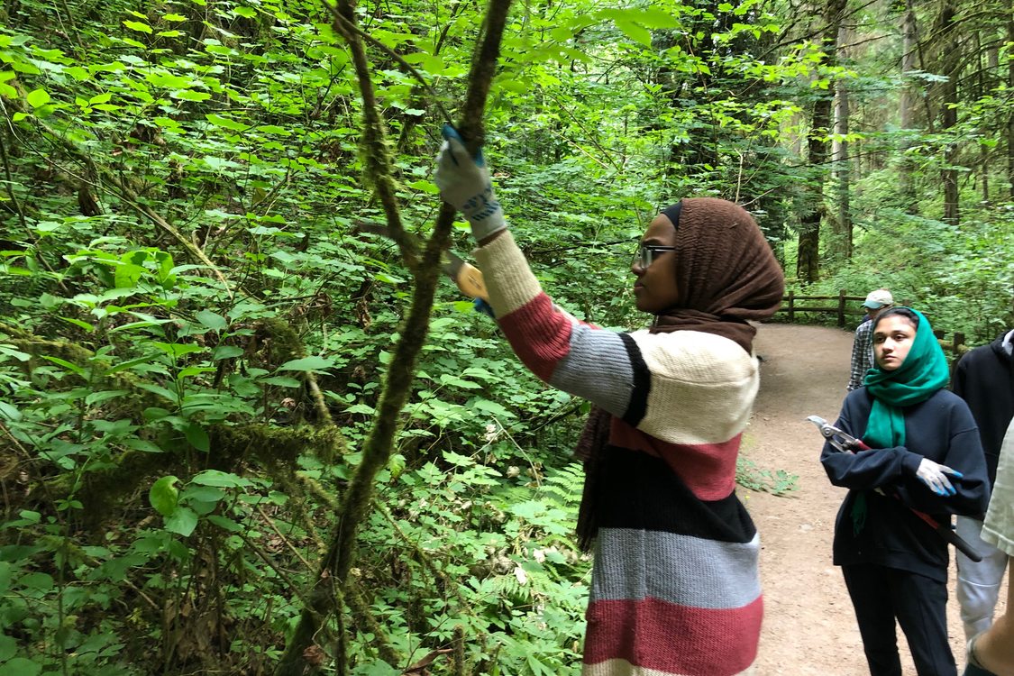 Two young women in hijab prune a tree along a trail.